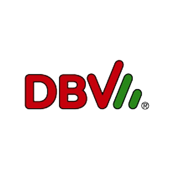 DBV Motoröl HD SAE 30 1L 17109 | eBay