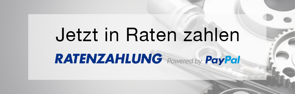 PayPal Ratenzahlung